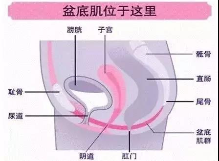 微信图片_20200403194910.jpg
