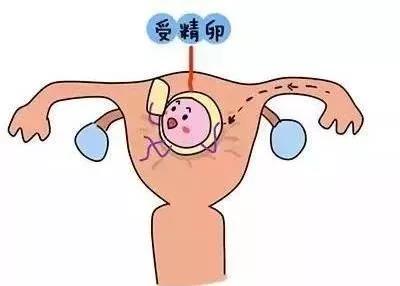 微信图片_20200403153542.jpg