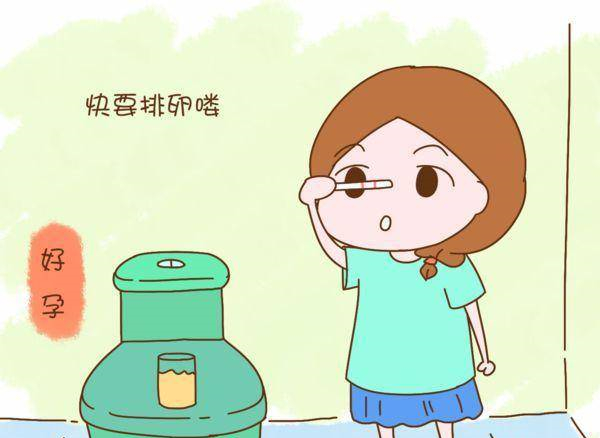 排卵.jpg