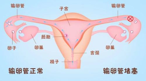 图片8.jpg