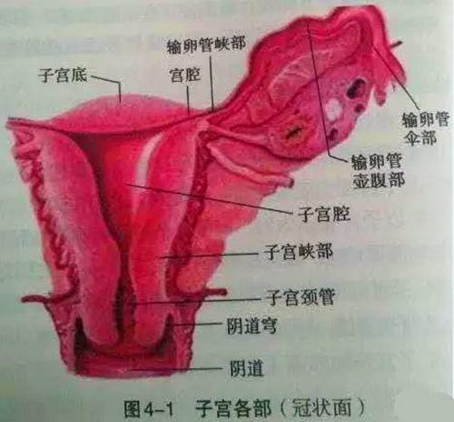 图片15.jpg