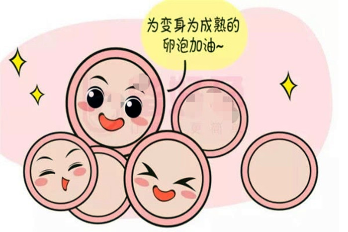 促排卵1.jpg