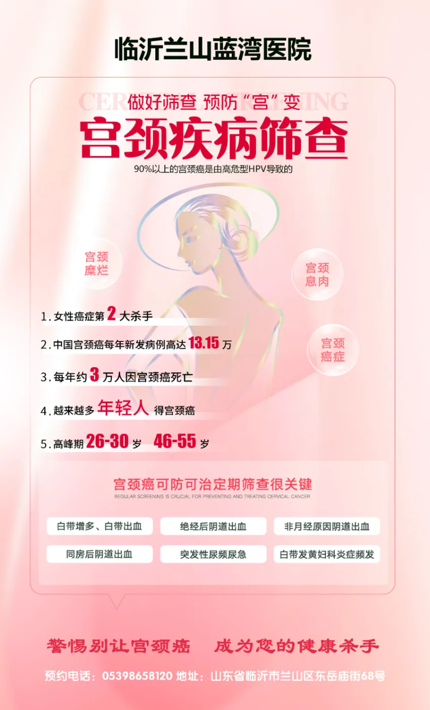 2.webp.png