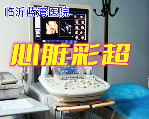 心脏彩超_副本.jpg